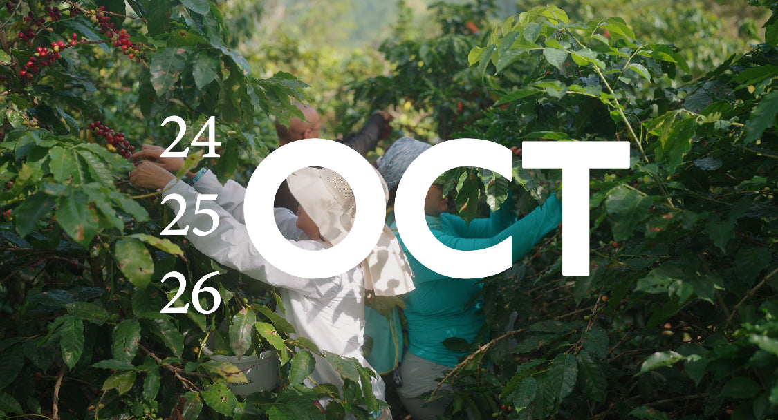 Campamento de Café (TODO INCLUIDO)-PAQUETE BARISTA- 3 días “cosecha 2025” (24,25,26 octubre 2025)